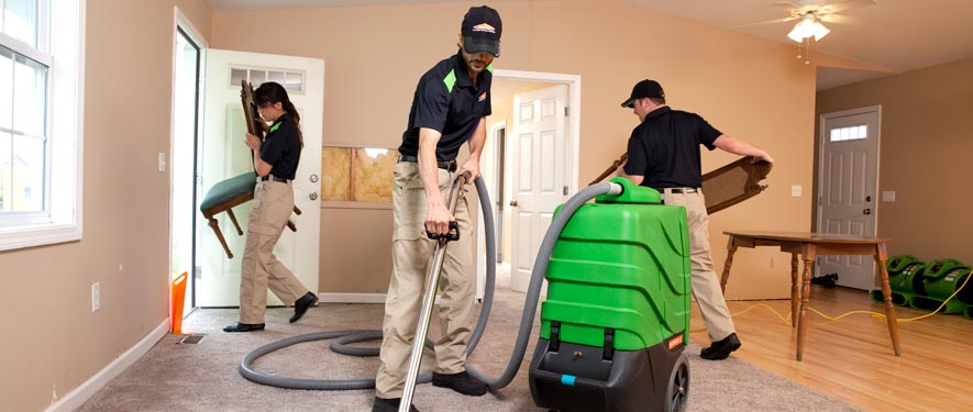 Olive Branch , MS cleaning services
